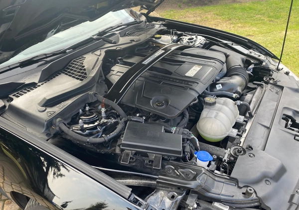 Ford Mustang cena 190000 przebieg: 20700, rok produkcji 2021 z Hel małe 154